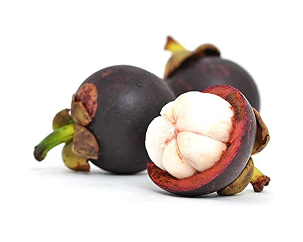 Mangosteen