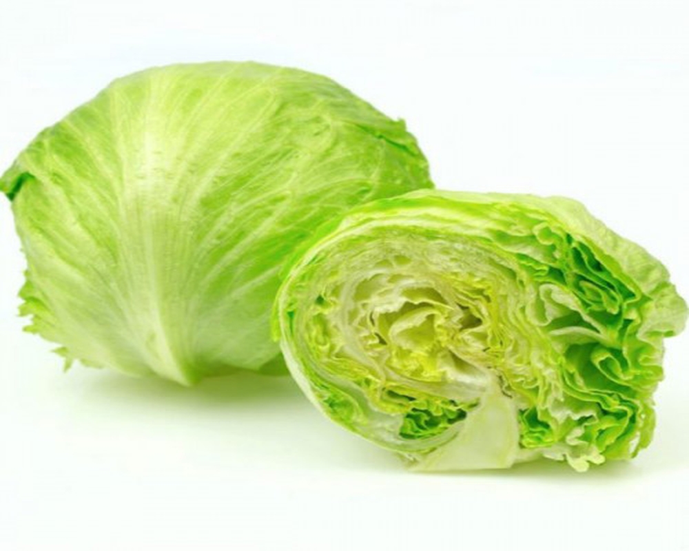 Lechuga